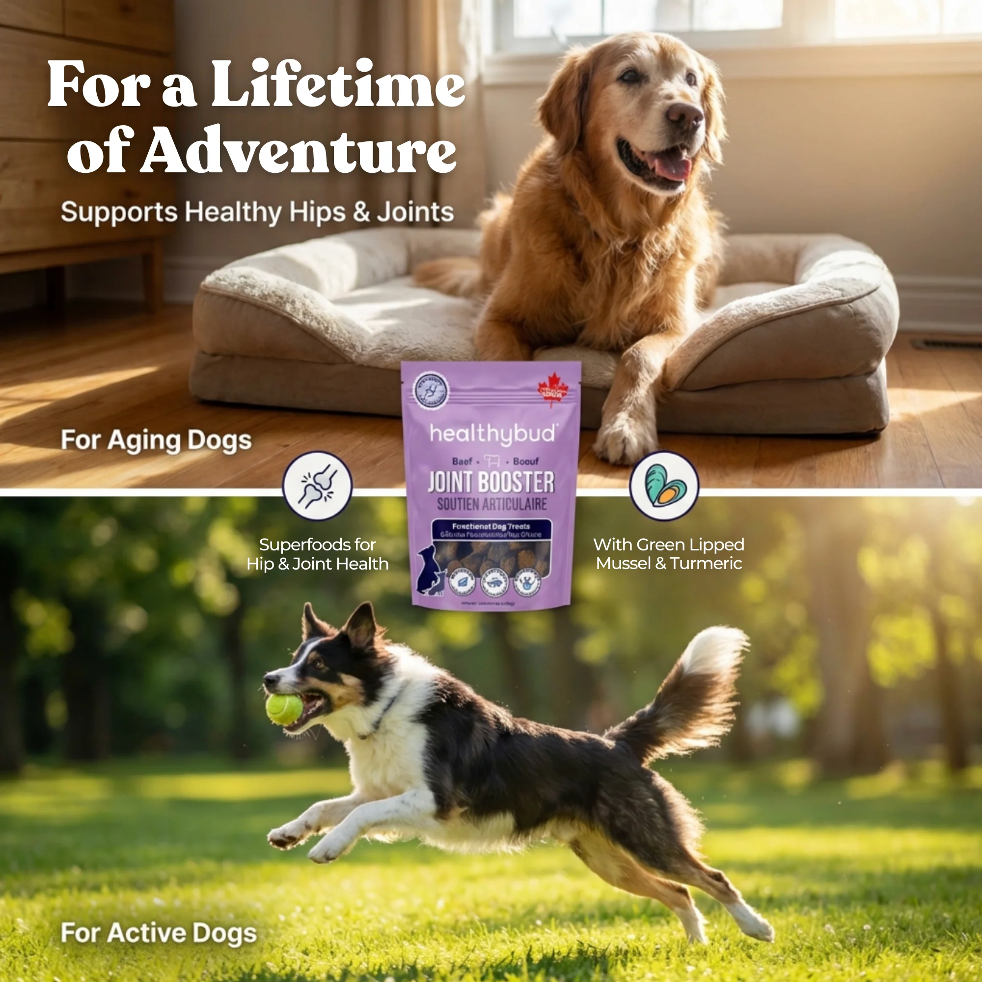 Beef Joint Booster - Image 7