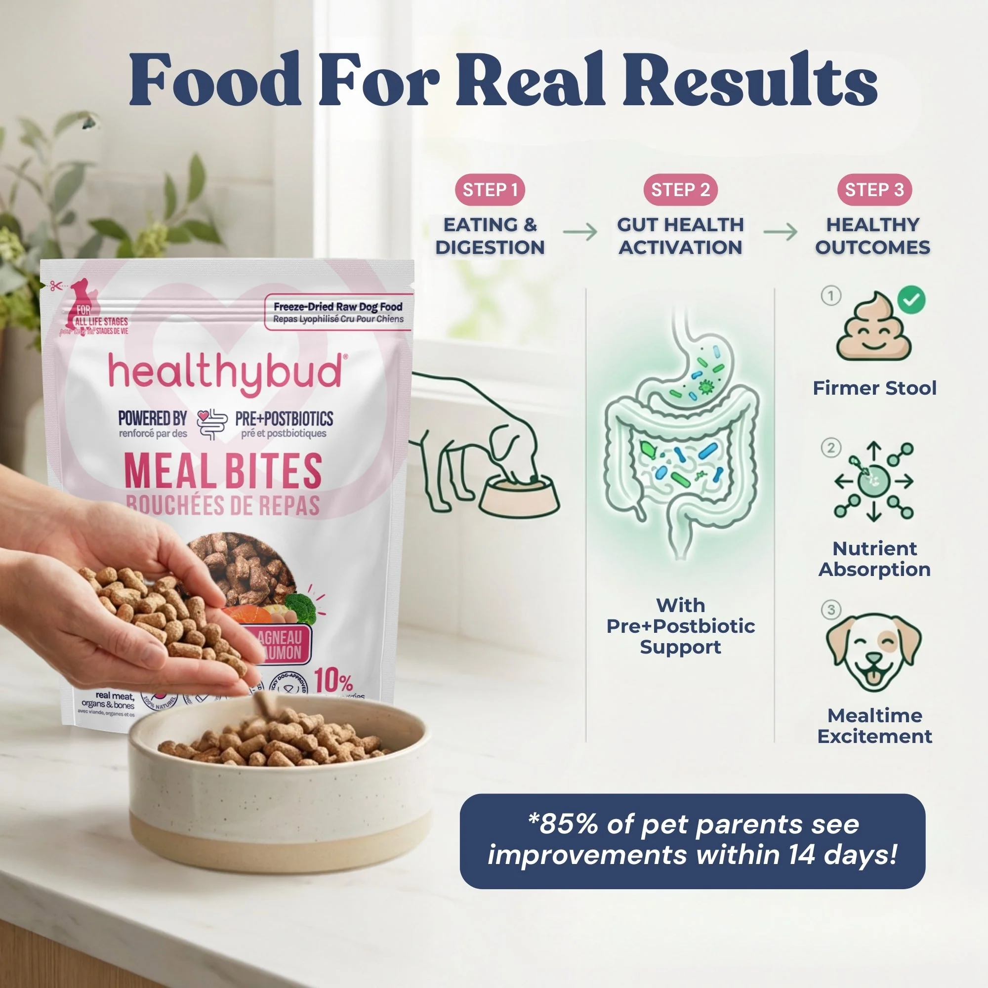 Lamb + Salmon Meal Bites - Image 4