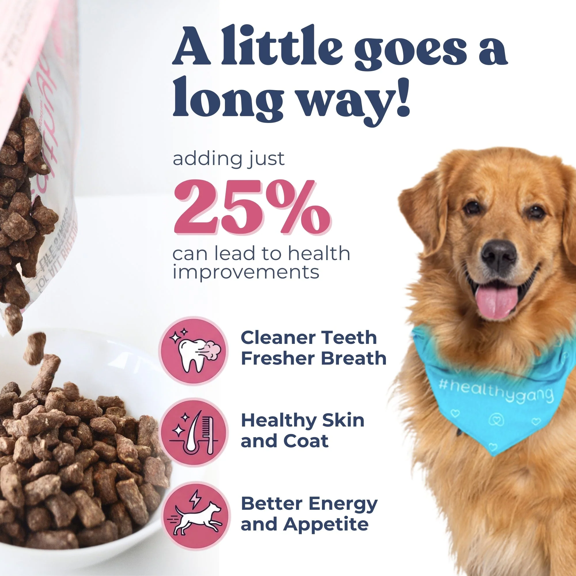 Lamb + Salmon Meal Bites - Image 7