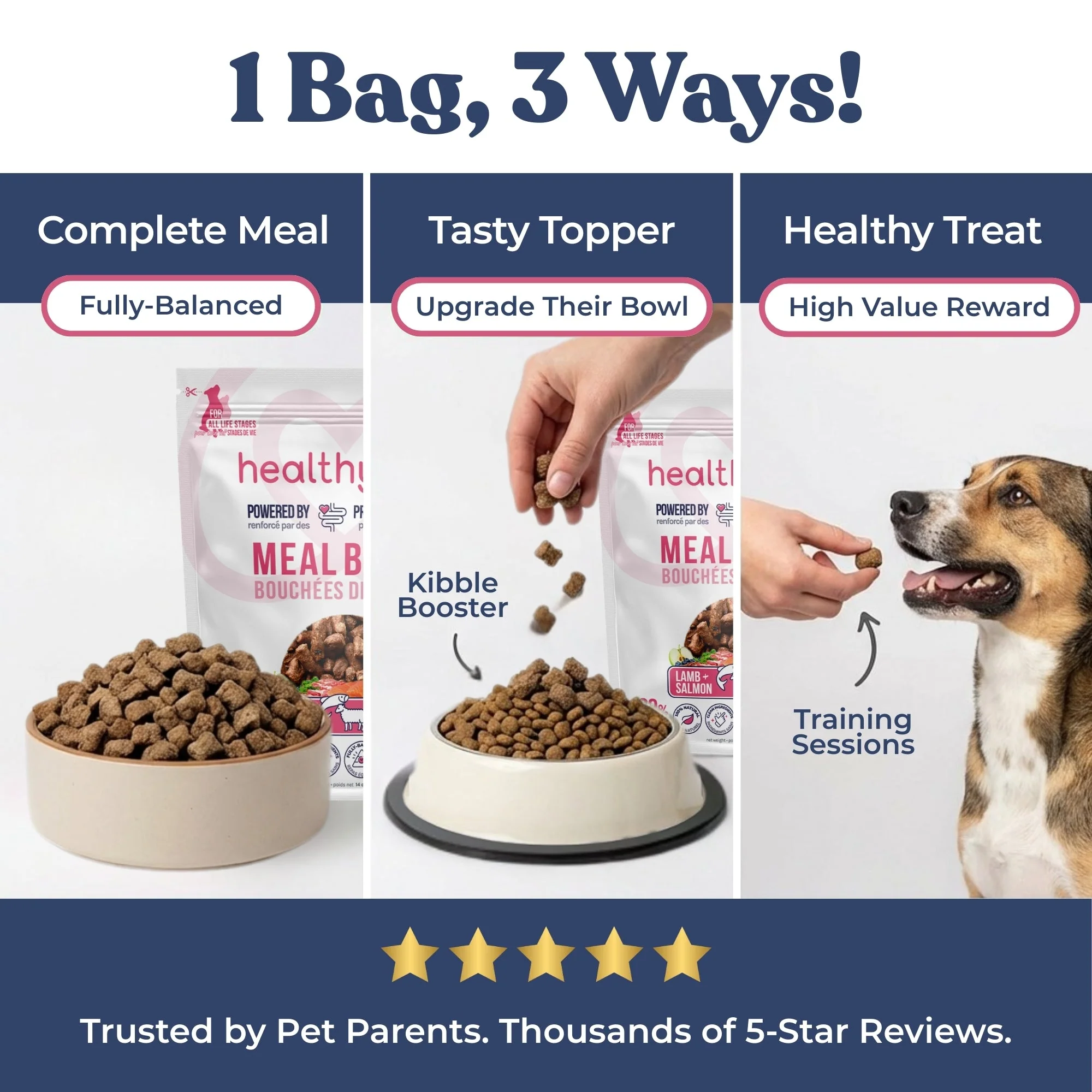 Lamb + Salmon Meal Bites - Image 8