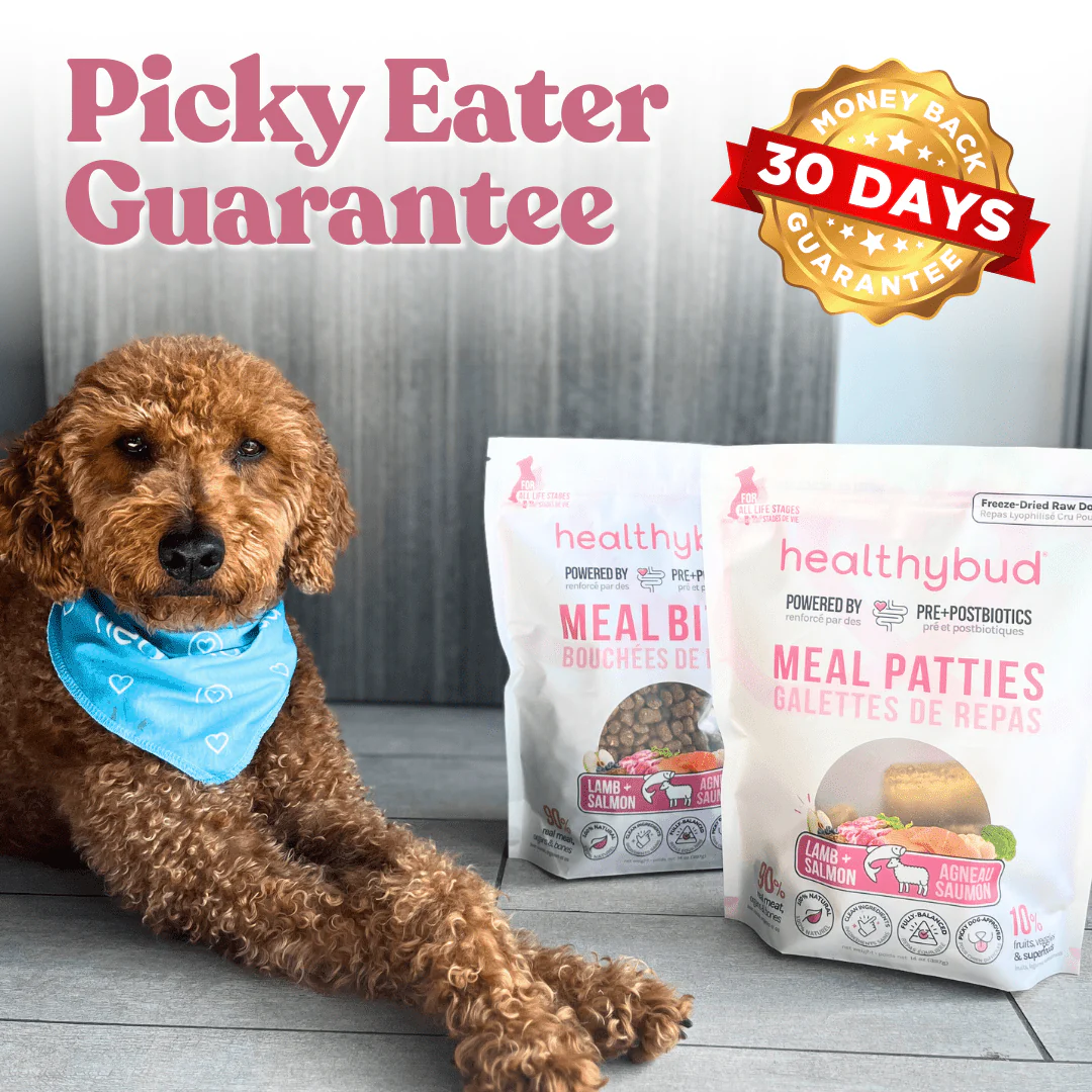 Lamb+Salmon Meal Patties - Image 9