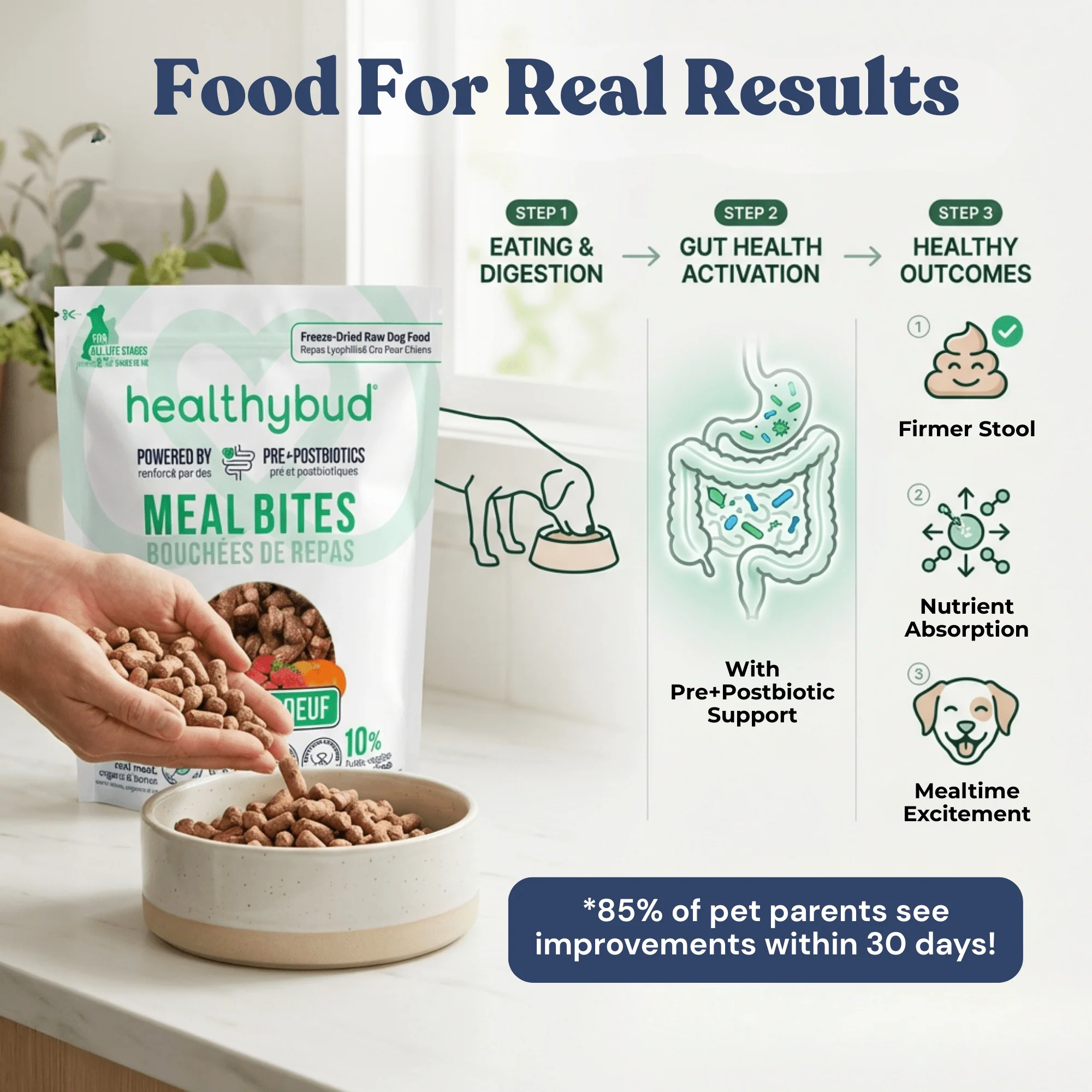 Beef Meal Bites - Image 4