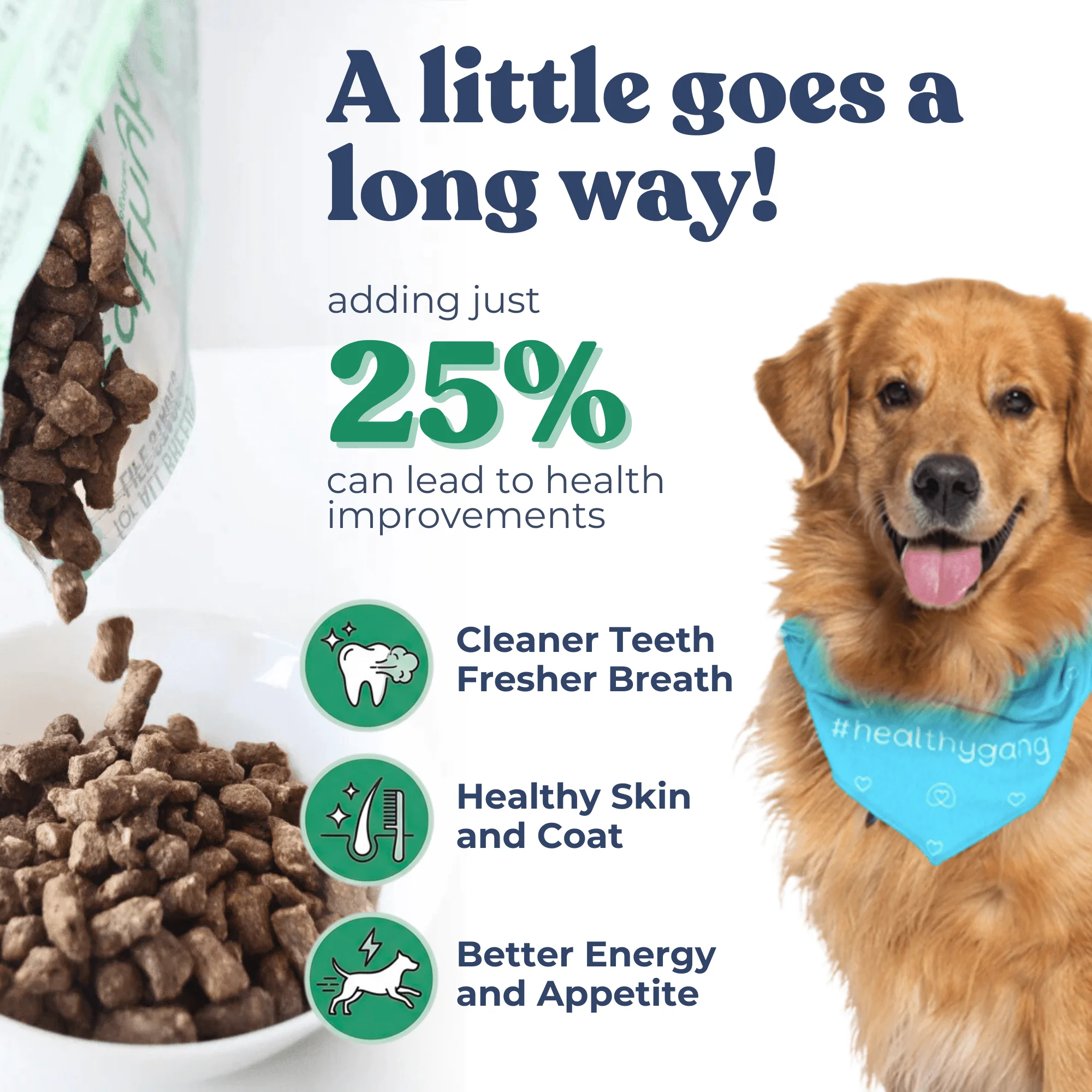 Beef Meal Bites - Image 7