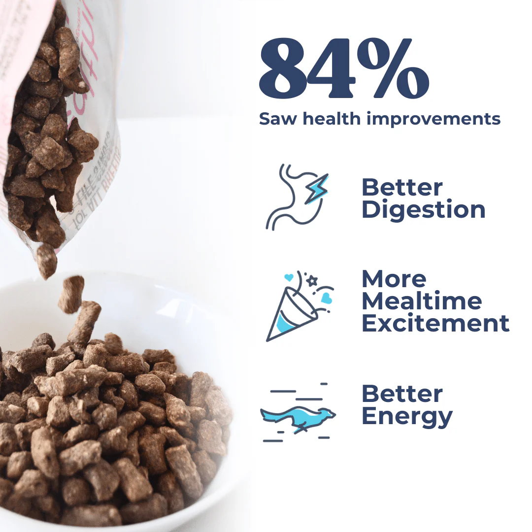 Lamb + Salmon Meal Bites - Image 9