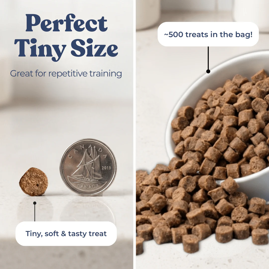 Chicken Mini Training Treats - Image 5