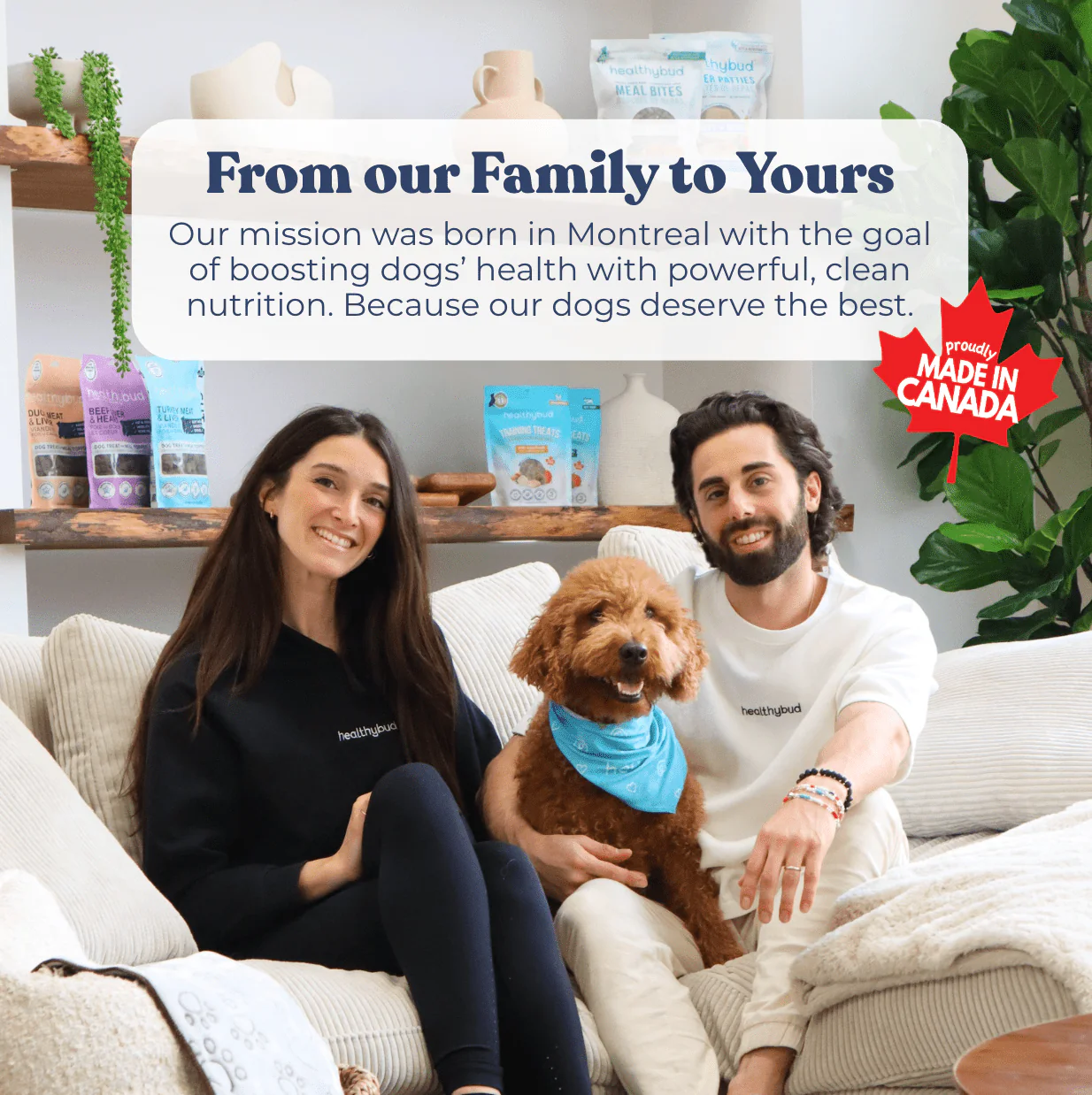 Chicken Mini Training Treats - Image 9