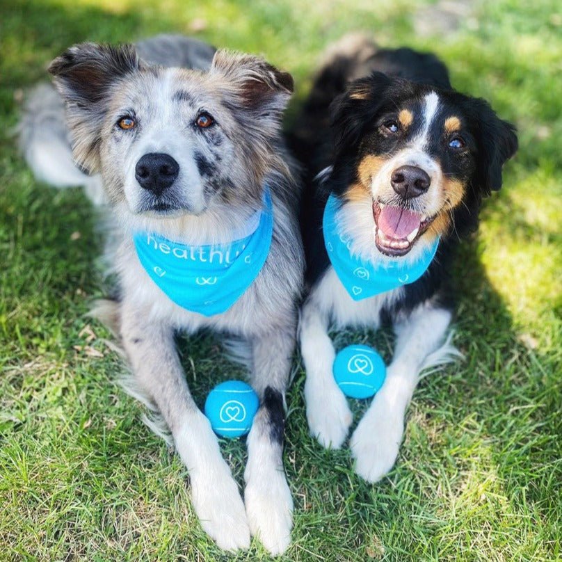 Tennis Balls - Image 4