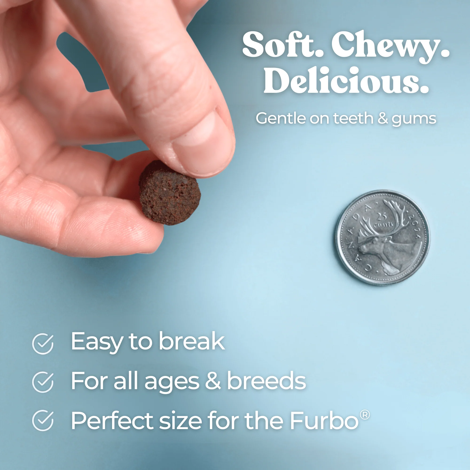 Turkey Gut Booster - Image 5