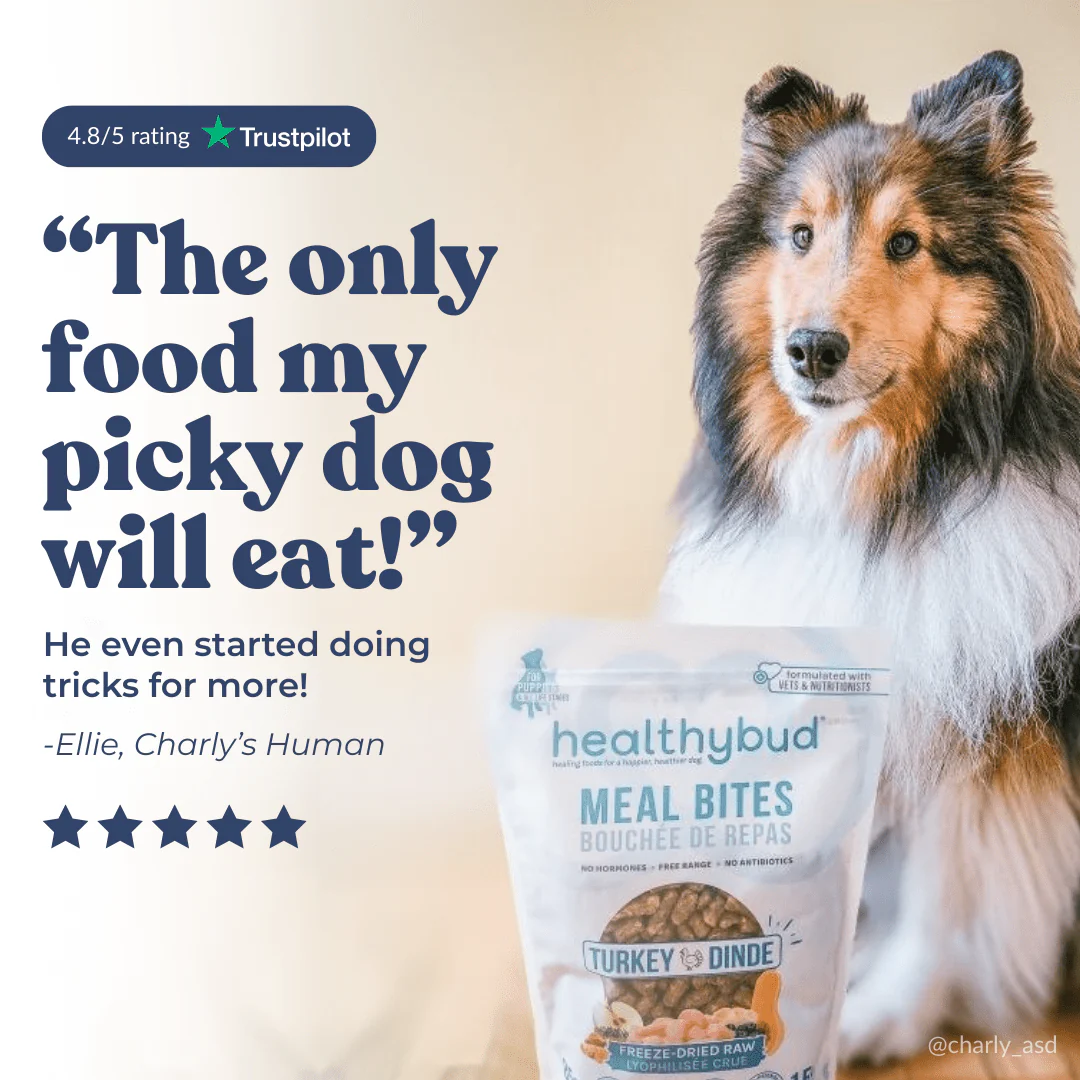 Turkey Meal Bites - Image 10